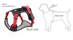Blue XL Adjustable No-Pull Dog Harness and Leash Set - Reflective & Padded Vest for Medium to Large Dogs
