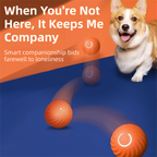 Orange Interactive Gravity Bouncing Dog Toy Ball(56MM) - Smart Automatic Teasing Pet Toy, Durable TPR with Yellow Sea Urchin Cover