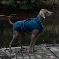75# Blue Waterproof Reflective Dog Raincoat for Small to Large Dogs