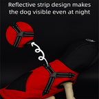 Green Thickened Winter Dog Coat with Reflective Strips – Waterproof, Windproof Pet Jacket for Small to Medium Dogs, Adjustable Fit with Detachable Leash Hook and Decorative Velcro Patch(Size: S)
