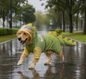 Green Dog Raincoat Dinosaur Hooded Waterproof Jacket 4XL Size with Leash Hole Removable Tail Cover Full Body Coverage Pet Rain Coat for Outdoor Walking Large Dogs